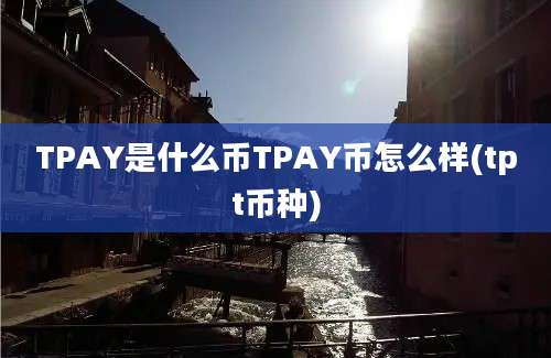 TPAY是什么币TPAY币怎么样(tpt币种)