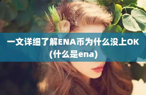 一文详细了解ENA币为什么没上OK(什么是ena)