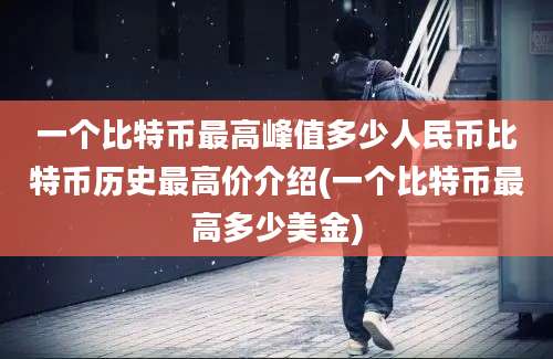 一个比特币最高峰值多少人民币比特币历史最高价介绍(一个比特币最高多少美金)