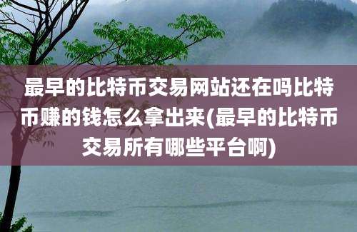 最早的比特币交易网站还在吗比特币赚的钱怎么拿出来(最早的比特币交易所有哪些平台啊)