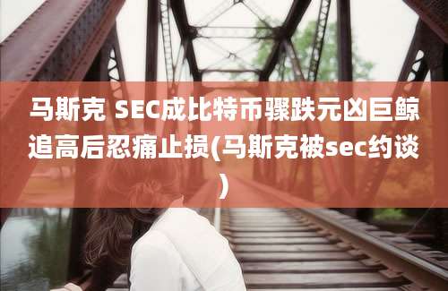 马斯克 SEC成比特币骤跌元凶巨鲸追高后忍痛止损(马斯克被sec约谈)