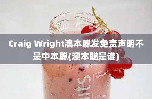 Craig Wright澳本聪发免责声明不是中本聪(澳本聪是谁)