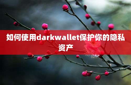 如何使用darkwallet保护你的隐私资产