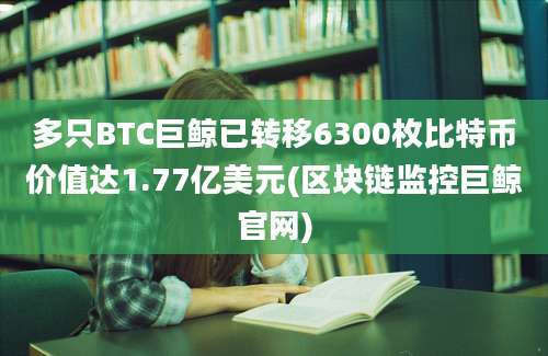 多只BTC巨鲸已转移6300枚比特币价值达1.77亿美元(区块链监控巨鲸官网)