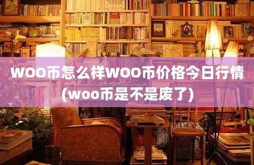 WOO币怎么样WOO币价格今日行情(woo币是不是废了)