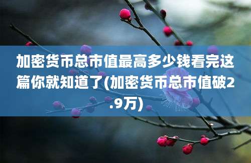 加密货币总市值最高多少钱看完这篇你就知道了(加密货币总市值破2.9万)