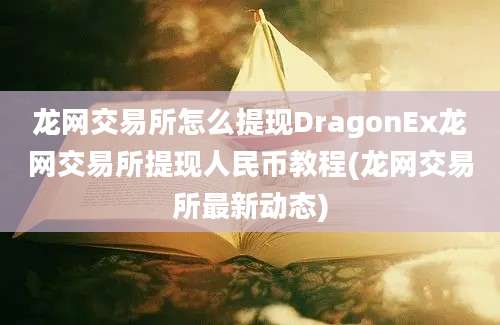 龙网交易所怎么提现DragonEx龙网交易所提现人民币教程(龙网交易所最新动态)