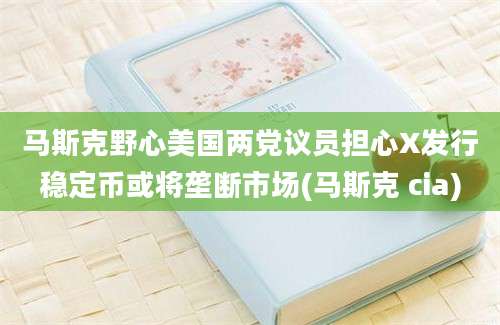 马斯克野心美国两党议员担心X发行稳定币或将垄断市场(马斯克 cia)