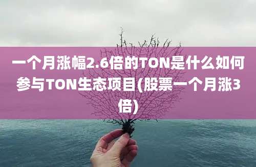 一个月涨幅2.6倍的TON是什么如何参与TON生态项目(股票一个月涨3倍)