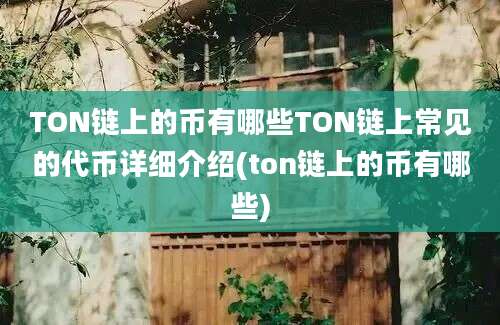 TON链上的币有哪些TON链上常见的代币详细介绍(ton链上的币有哪些)