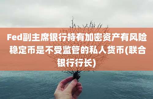 Fed副主席银行持有加密资产有风险 稳定币是不受监管的私人货币(联合银行行长)