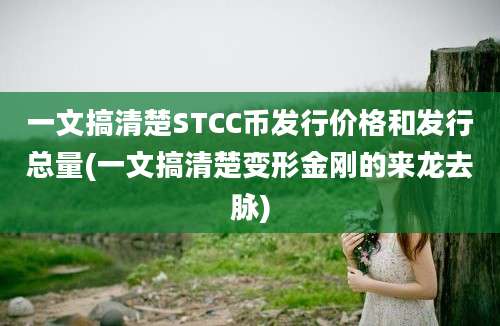 一文搞清楚STCC币发行价格和发行总量(一文搞清楚变形金刚的来龙去脉)