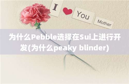 为什么Pebble选择在Sui上进行开发(为什么peaky blinder)