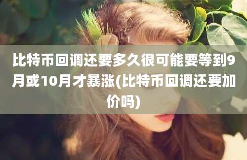 比特币回调还要多久很可能要等到9月或10月才暴涨(比特币回调还要加价吗)