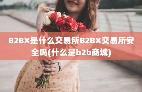 B2BX是什么交易所B2BX交易所安全吗(什么是b2b商城)