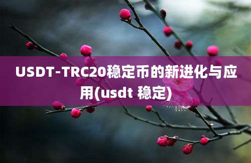 USDT-TRC20稳定币的新进化与应用(usdt 稳定)