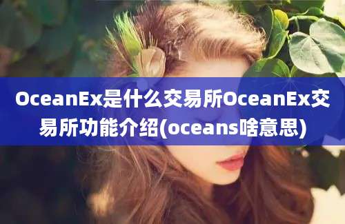 OceanEx是什么交易所OceanEx交易所功能介绍(oceans啥意思)