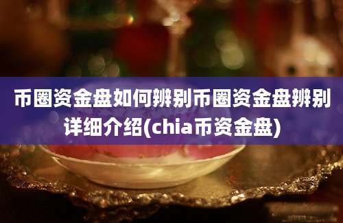 币圈资金盘如何辨别币圈资金盘辨别详细介绍(chia币资金盘)