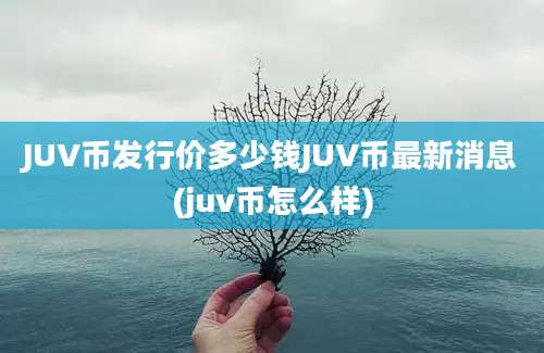 JUV币发行价多少钱JUV币最新消息(juv币怎么样)