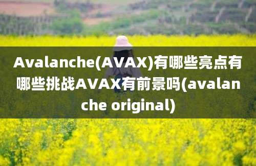 Avalanche(AVAX)有哪些亮点有哪些挑战AVAX有前景吗(avalanche original)