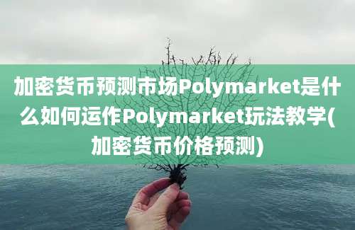 加密货币预测市场Polymarket是什么如何运作Polymarket玩法教学(加密货币价格预测)