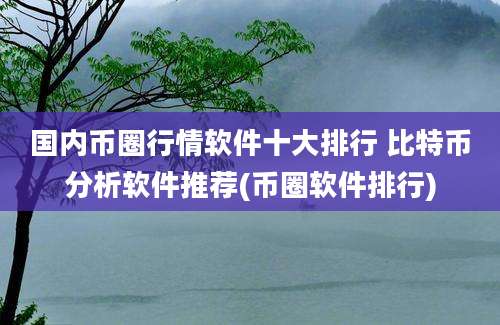 国内币圈行情软件十大排行 比特币分析软件推荐(币圈软件排行)