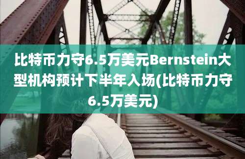 比特币力守6.5万美元Bernstein大型机构预计下半年入场(比特币力守6.5万美元)