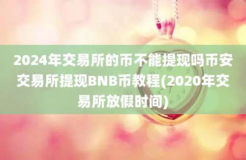 2024年交易所的币不能提现吗币安交易所提现BNB币教程(2020年交易所放假时间)