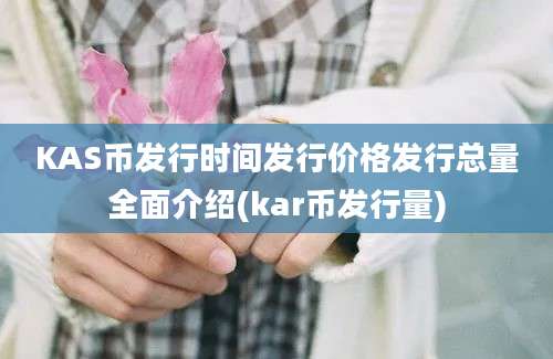 KAS币发行时间发行价格发行总量全面介绍(kar币发行量)