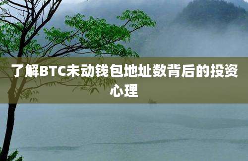 了解BTC未动钱包地址数背后的投资心理