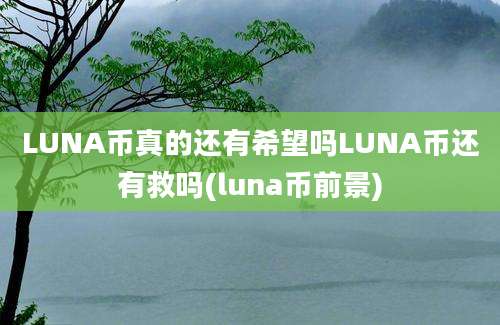 LUNA币真的还有希望吗LUNA币还有救吗(luna币前景)