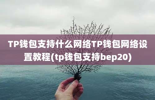 TP钱包支持什么网络TP钱包网络设置教程(tp钱包支持bep20)