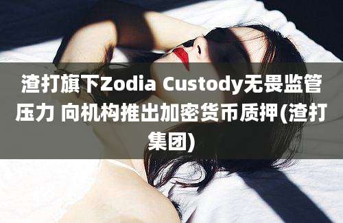 渣打旗下Zodia Custody无畏监管压力 向机构推出加密货币质押(渣打集团)