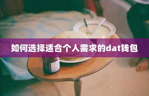 如何选择适合个人需求的dat钱包