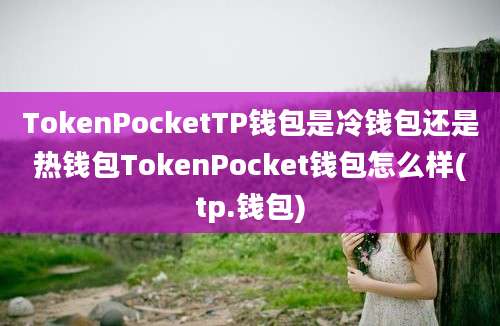 TokenPocketTP钱包是冷钱包还是热钱包TokenPocket钱包怎么样(tp.钱包)