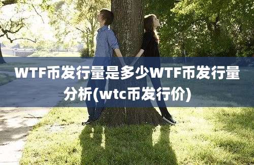 WTF币发行量是多少WTF币发行量分析(wtc币发行价)