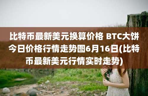 比特币最新美元换算价格 BTC大饼今日价格行情走势图6月16日(比特币最新美元行情实时走势)