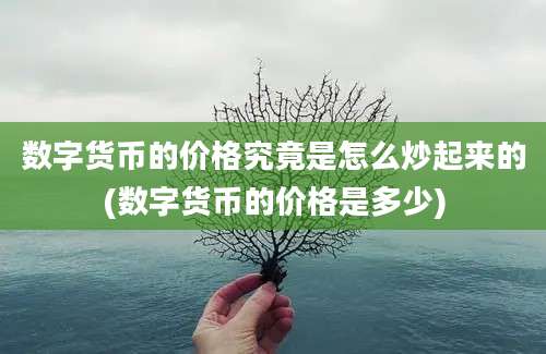 数字货币的价格究竟是怎么炒起来的(数字货币的价格是多少)