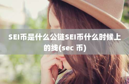 SEI币是什么公链SEI币什么时候上的线(sec 币)