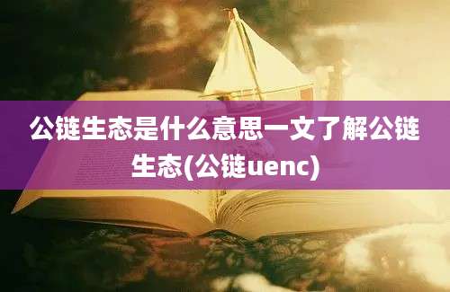 公链生态是什么意思一文了解公链生态(公链uenc)