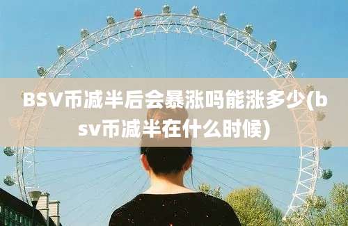 BSV币减半后会暴涨吗能涨多少(bsv币减半在什么时候)