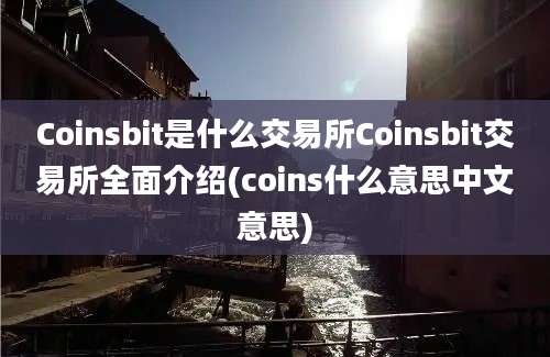 Coinsbit是什么交易所Coinsbit交易所全面介绍(coins什么意思中文意思)