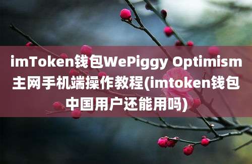 imToken钱包WePiggy Optimism主网手机端操作教程(imtoken钱包中国用户还能用吗)