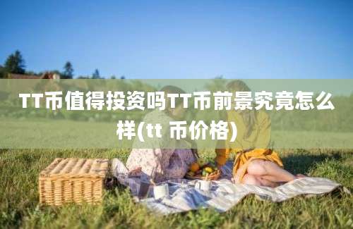 TT币值得投资吗TT币前景究竟怎么样(tt 币价格)