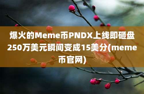 爆火的Meme币PNDX上线即砸盘250万美元瞬间变成15美分(meme币官网)