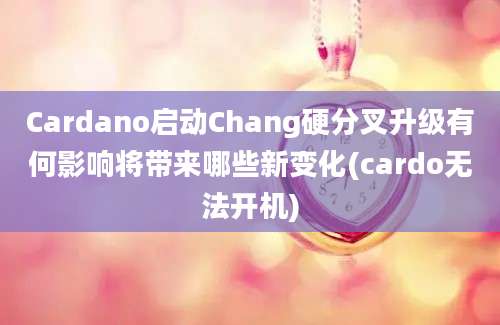 Cardano启动Chang硬分叉升级有何影响将带来哪些新变化(cardo无法开机)