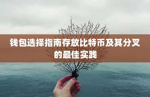 钱包选择指南存放比特币及其分叉的最佳实践