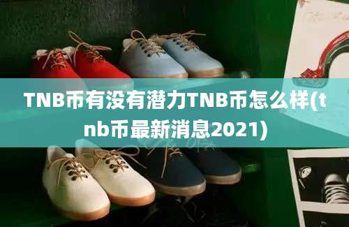 TNB币有没有潜力TNB币怎么样(tnb币最新消息2021)