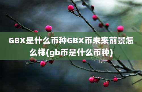 GBX是什么币种GBX币未来前景怎么样(gb币是什么币种)