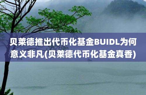 贝莱德推出代币化基金BUIDL为何意义非凡(贝莱德代币化基金真香)